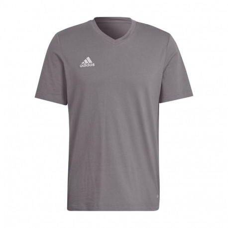 Adidas meeste t-särk Entrada 22 Tee HC0449 S, hall