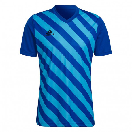 Koszulka męska adidas Entrada 22 Graphic Jersey niebiesko-błękitna HF0116 S