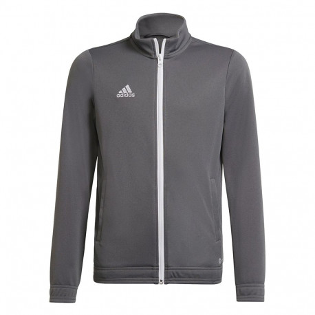 Adidas laste treeningjakk Entrada 22 Track Jacket H57521 128cm, hall