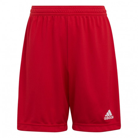 adidas laste lühikesed püksid Entrada 22 H57501 140cm, punane