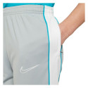 Spodnie dla dzieci Nike NK DF Academy Trk Pant Kp Fp Jb szare CZ0973 019 L