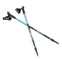 Kijki Nordic Walking Spokey Meadow niebiesko-czarno-zielone 929462