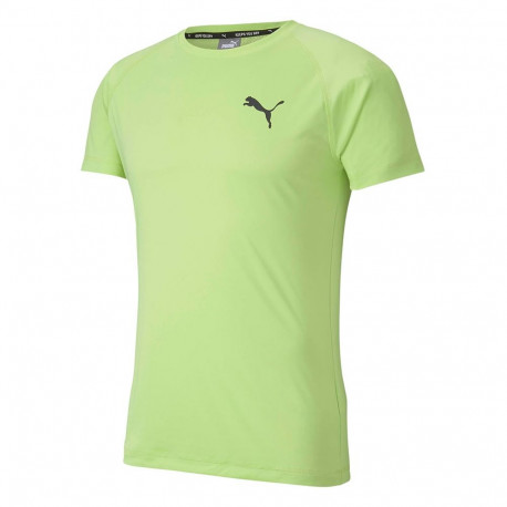 Koszulka męska Puma Rtg Tee Sharp zielona 581504 34 XL