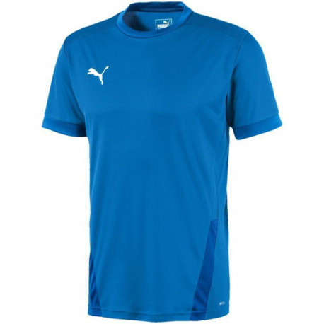 Puma meeste särk teamGOAL 23 Jersey 704171 02 S, sinine