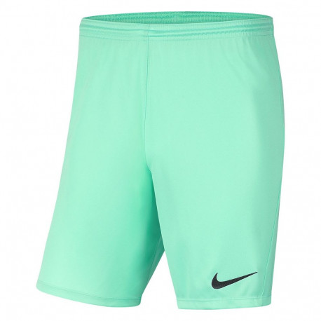 Nike meeste lühikesed püksid Dry Park III NB K BV6855 354 L, piparmündiroheline