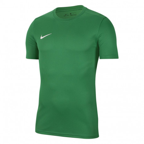 Nike meeste särk Dry Park VII JSY SS BV6708 302 S, roheline