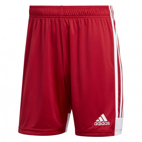 Adidas meeste lühikesed püksid Tastigo 19 DP3681 M, punane