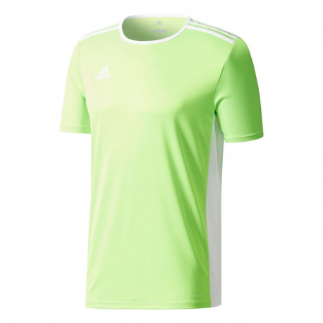 Koszulka dla dzieci adidas Entrada 18 Jersey JUNIOR limonkowa CE9755 116cm