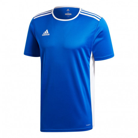 Koszulka męska adidas Entrada 18 Jersey niebieska CF1037 L