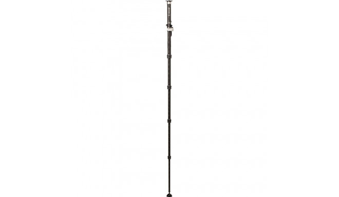 Monopod Benro SupaDupa MSD36C