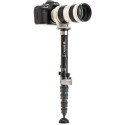 Monopod Benro SupaDupa MSD36C