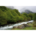 Cokin filter S A120 Gradual Grey G1