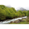 Cokin filter S A120 Gradual Grey G1