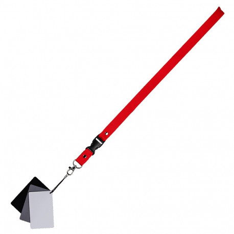 Genesis Gear Greycard 3In1 8.7 x 5.5 cm