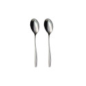 HANGER 2 PCS COFFEE SPOON WIND