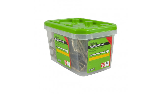 ESSDRIVE 6.0x100 CS C-SEAL-100 kruvi