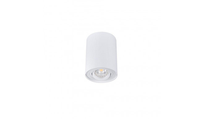 CEILING LIGHT POINT FITTING BORD DLP-50W