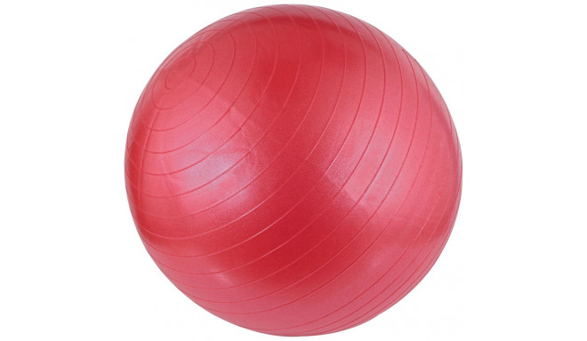 Gym Ball AVENTO 42OA 55cm Pink