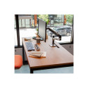 Ergotron monitori lauakinnitus LX LCD