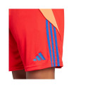 Adidas Tiro 24 M IT2416 shorts (S)