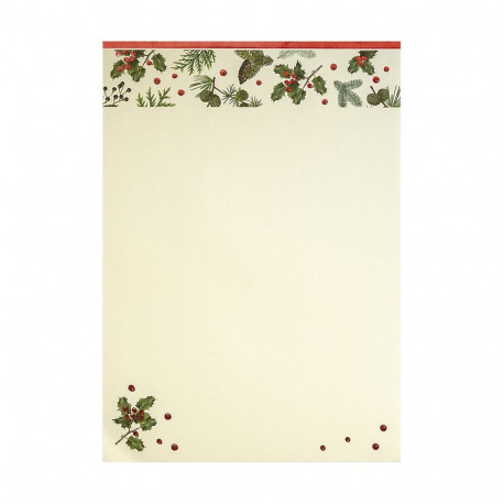 Kirjablankett Festive 100g/50lk