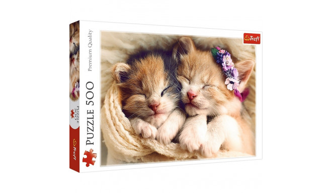 Puzzles 500 elements sleeping cats
