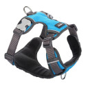 Koera rakmed Red Dingo Polsterdatud Turquoise L