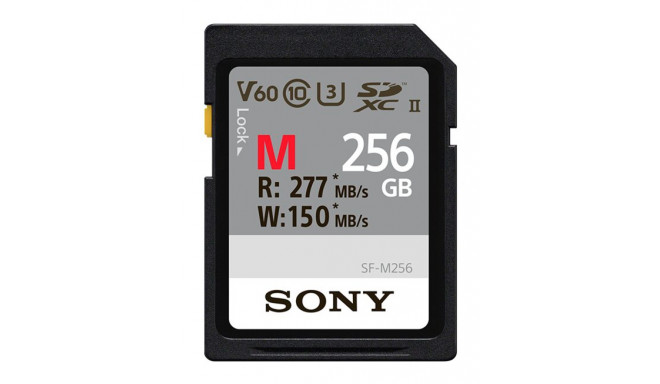 Sony Atminties kortel SDXC Professional 256GB Class 10 UHS-II