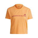 Adidas Gradient Logo Cropped T-shirt W GM5579 (XS)