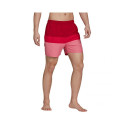 Adidas Colorb M GU0312 shorts (S)