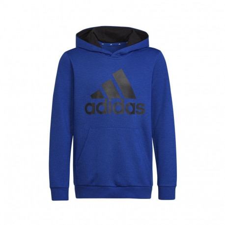 Adidas Big Logo Essentials Hoody Jr HN1912 sweatshirt (128 cm)