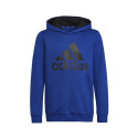 Sweatshirt adidas Big Logo Essentials Hoody Jr HN1912 (128 cm)