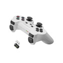 Esperanza EGG108W Wireless Controller (white)