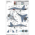 Russian Su-30M KK Flanker G Fighter