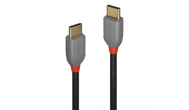 Cable USB C LINDY 36872 2 m Black Grey