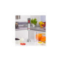 Zelmer ZHB4650 VARIO 0.7 L Immersion blender 1400 W Metallic, Red