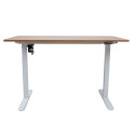 Desk ERGO LIGHT with 1 motor 120x60cm, white/oak