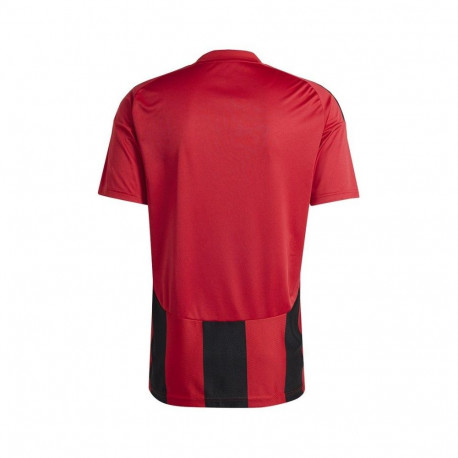Adidas Striped 24 JSY M T-shirt IW4556 (M)