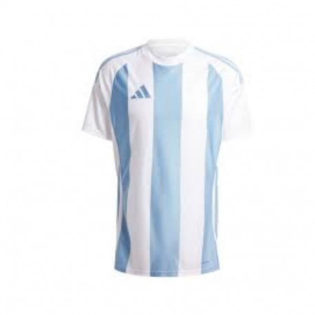 Adidas Striped 24 JSY M T-shirt IW4555 (M)