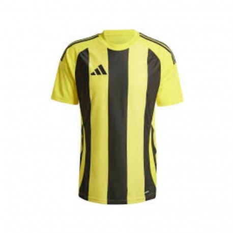 Adidas Striped 24 JSY M T-shirt IW2146 (M)