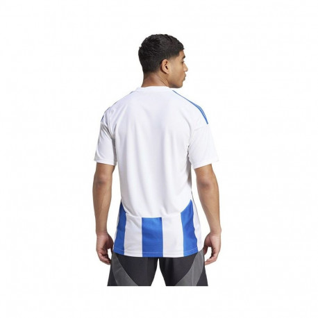 Adidas Striped 24 JSY M T-shirt IW2144 (XXL)