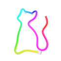 Neon LED RGB CAT FLRN03 + RC Forever Light