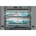 Digitus Cable Management Panel with changeable cable rings for 482.6 mm (19“) Cabinets