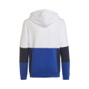adidas sweatshirt Colourblock Hoodie Jr HG6826 (128cm)