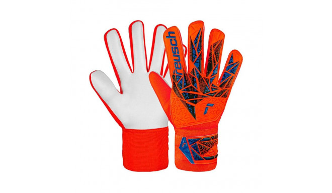 Reusch Attrakt Starter Solid Jr goalkeeper gloves 5472514 2210 (5,5)
