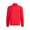 Adidas Tiro 24 Training Jr IR7502 sweatshirt (152cm)