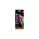 BIC Coloring pencils Intensity 12 colours 951844