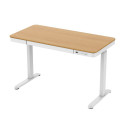 Tuckano Electric height adjustable desk ET119W-C white/oak