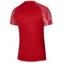 Nike men's T-shirt Dri-Fit Academy SS M DH8031-657 (L/183cm)