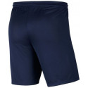 Nike men's shorts Dry Park III M BV6855-410 (XL)